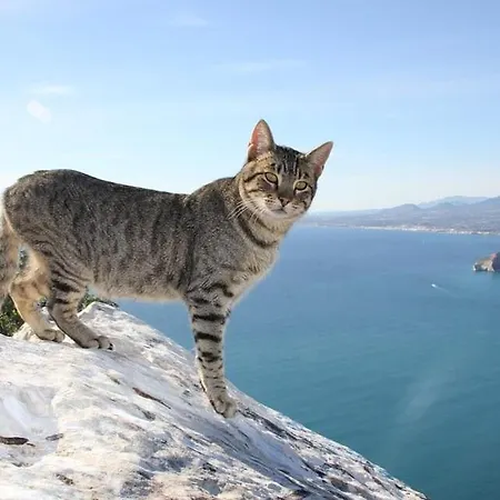 La Martina - Plusholidays * Casas de Torrat